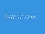 BSW 2.1/2X4 